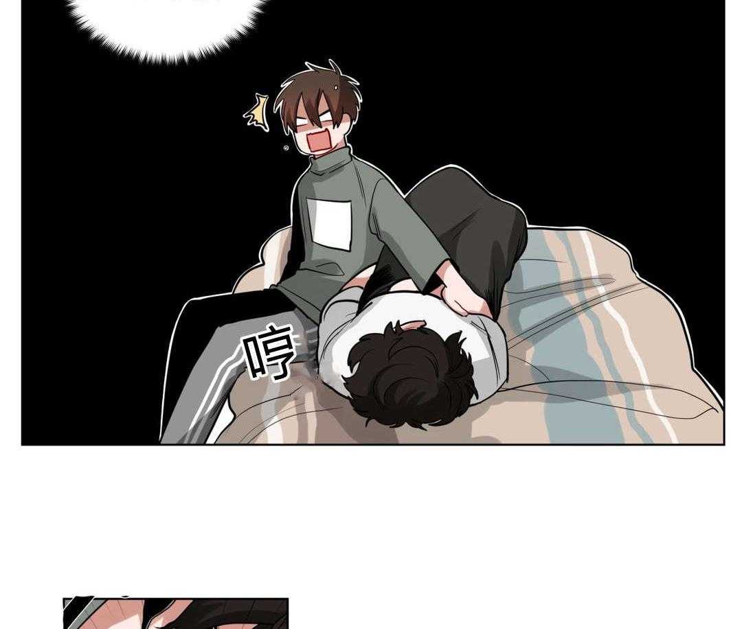 15.jpg