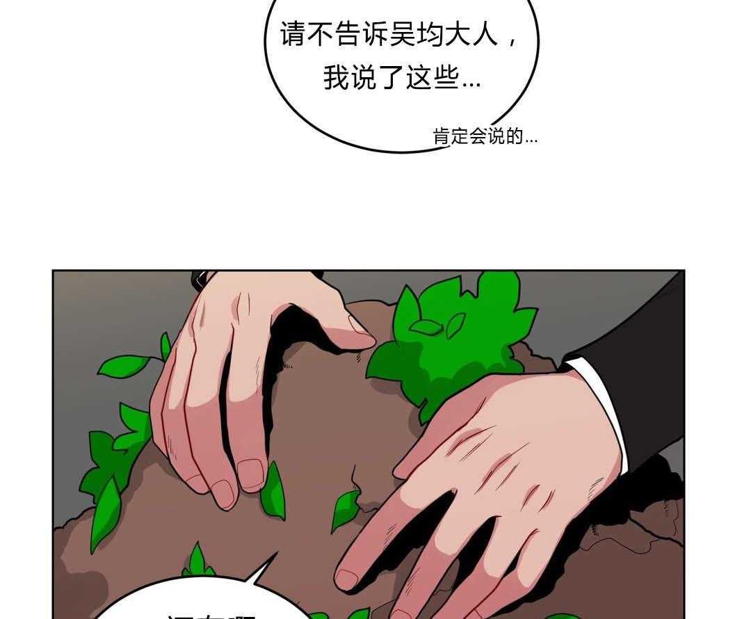 24.jpg
