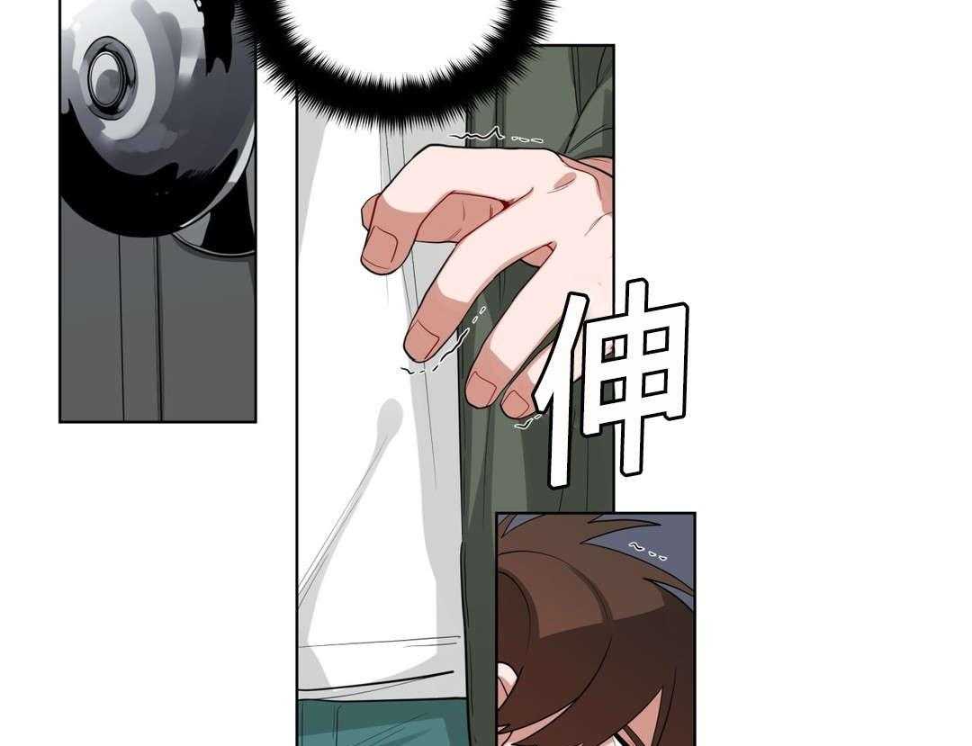 41.jpg