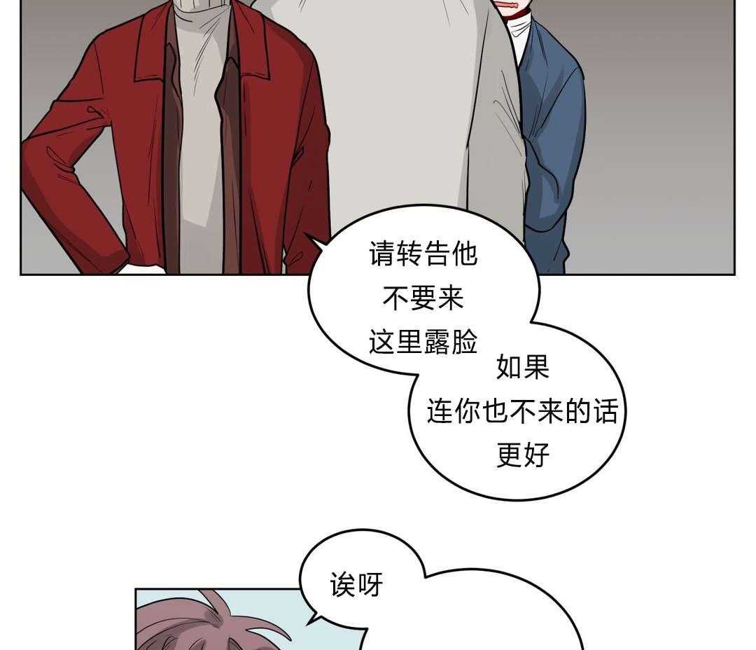 46.jpg
