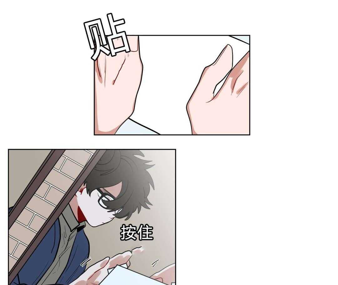 44.jpg