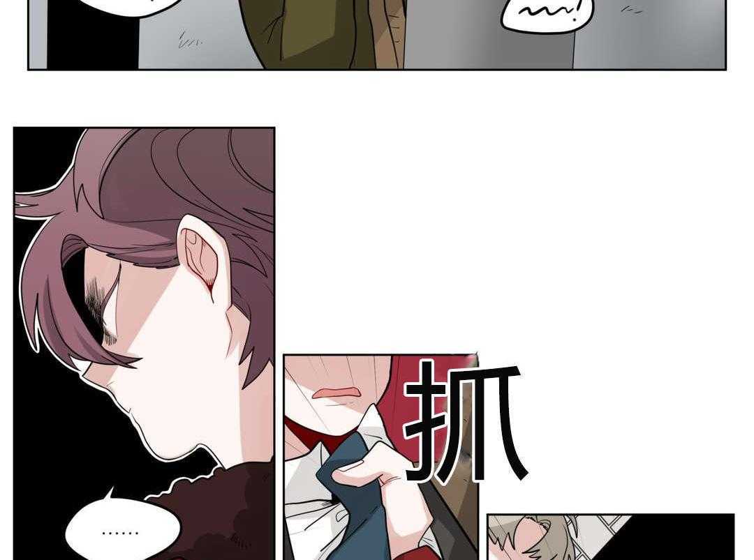 51.jpg