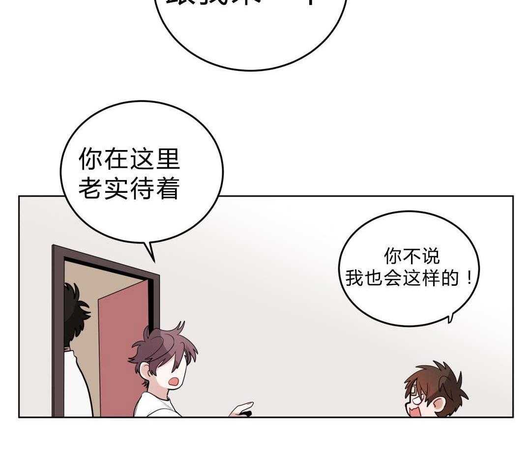 51.jpg