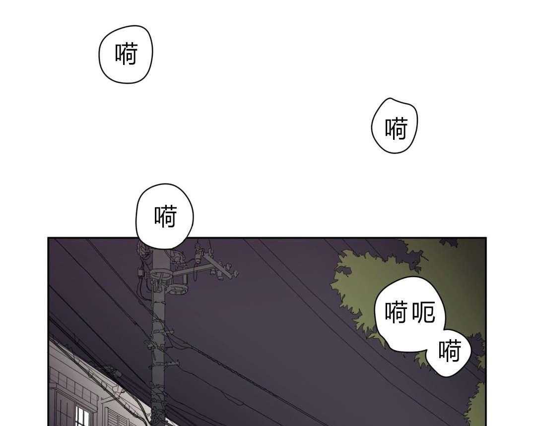 53.jpg