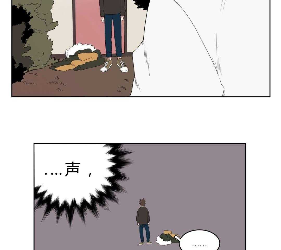 41.jpg