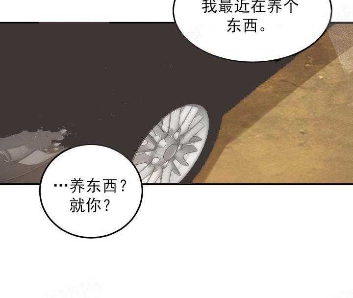 29.jpg