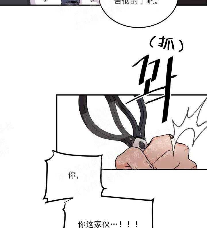 47.jpg
