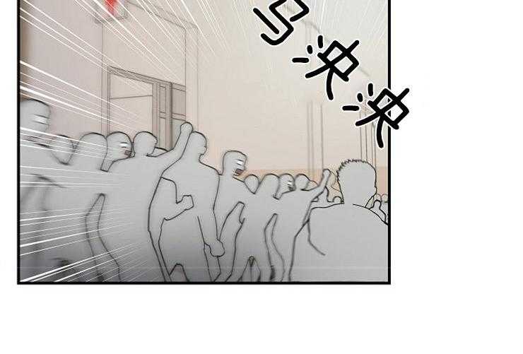 46.jpg