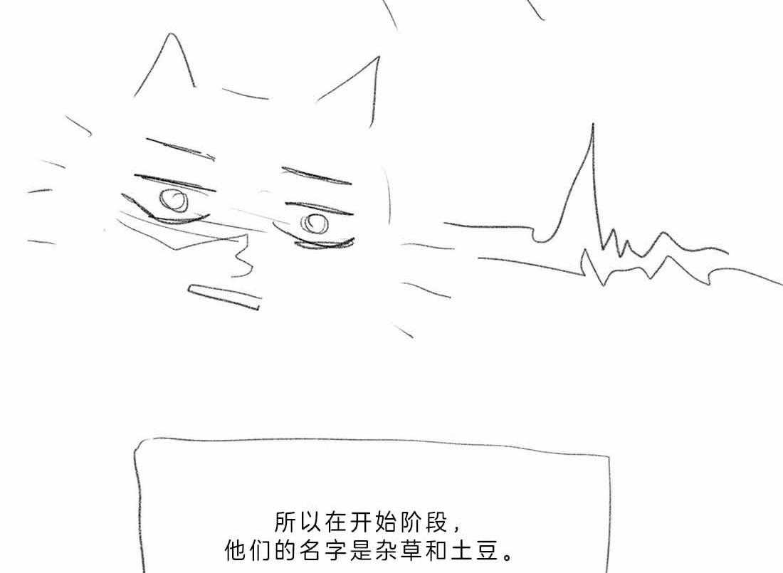 82.jpg