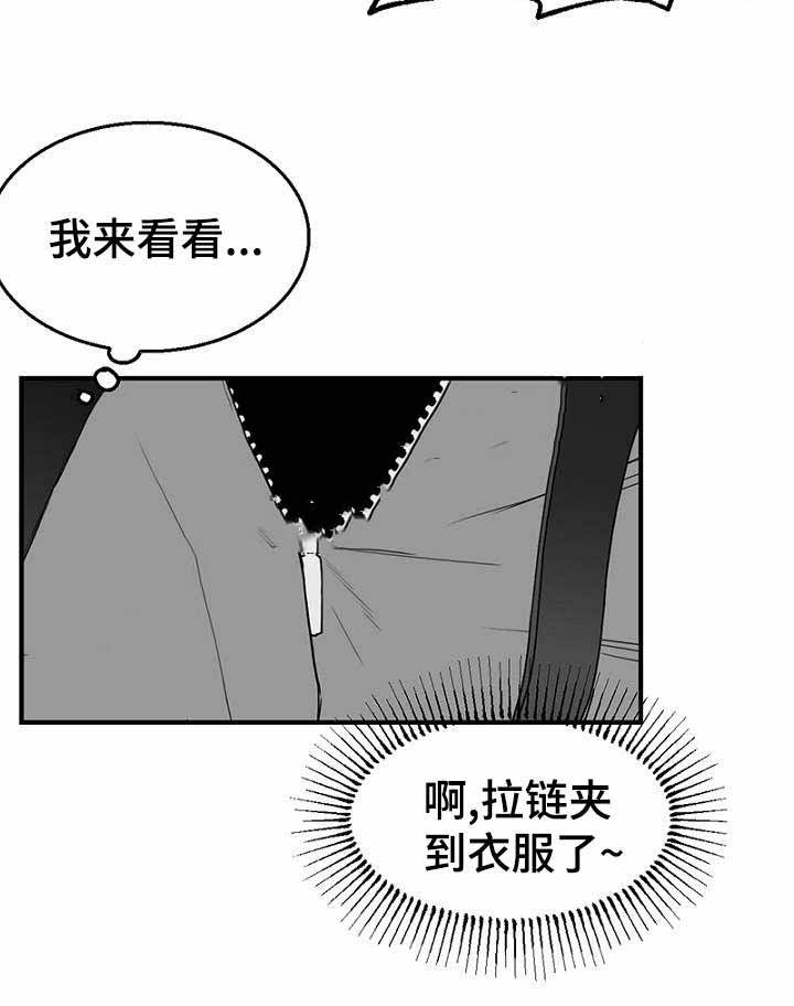 19.jpg