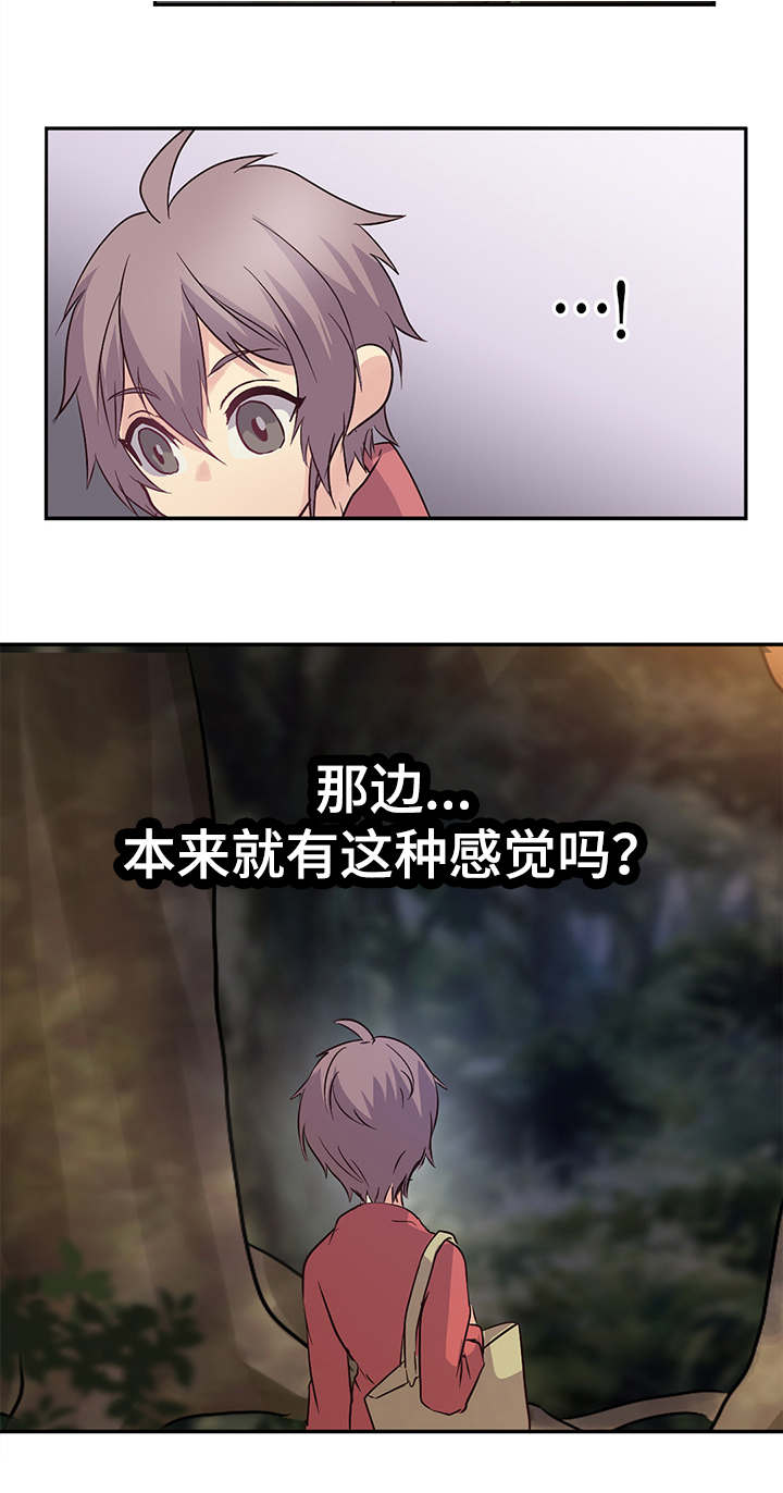 13.jpg