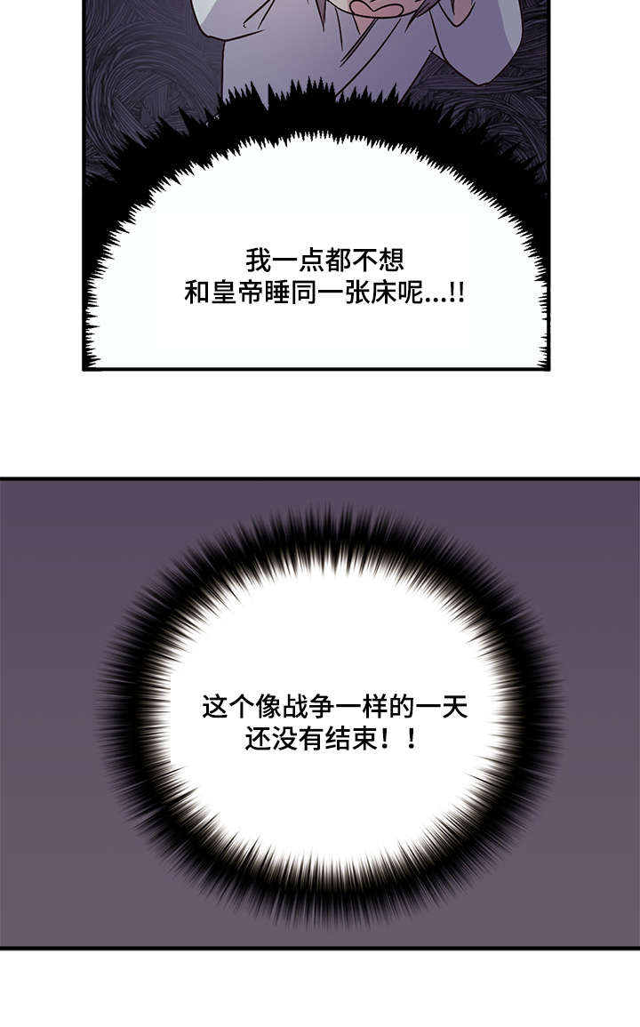15.jpg