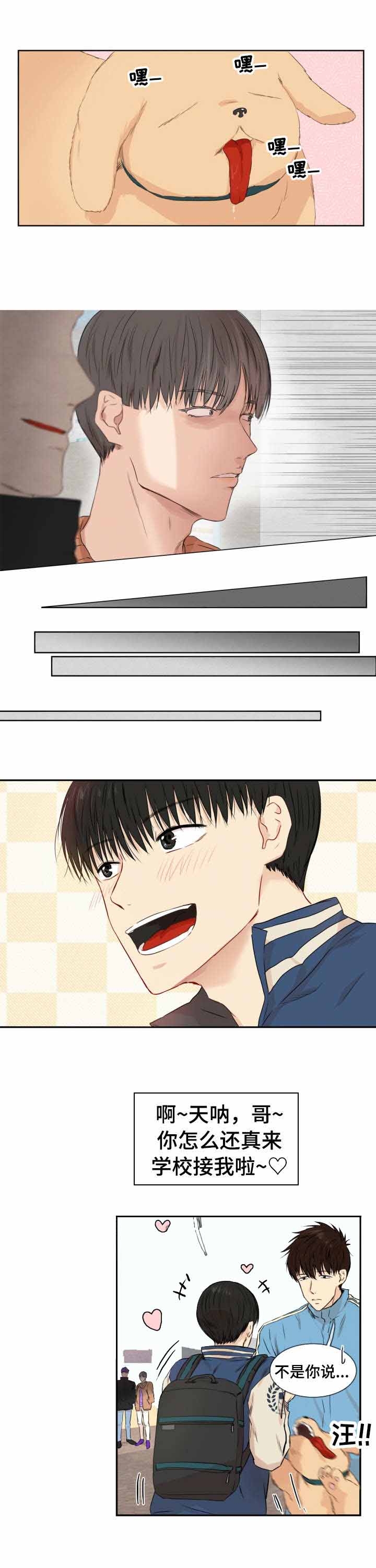4.jpg