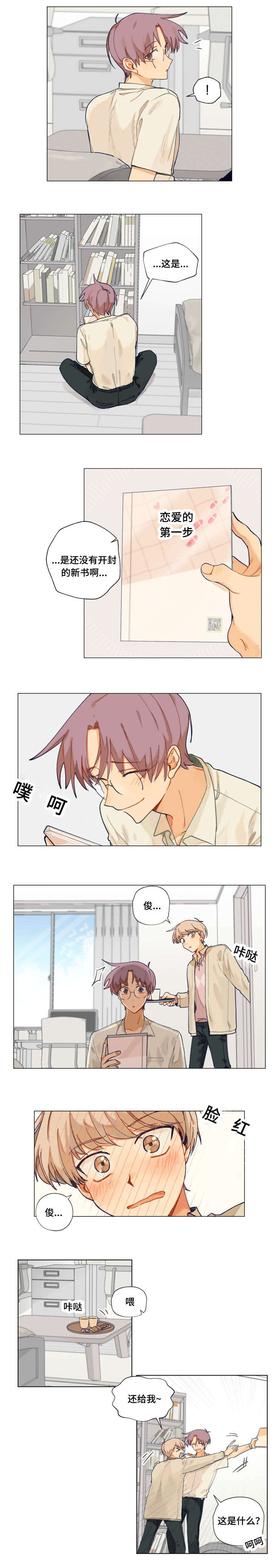 6.jpg