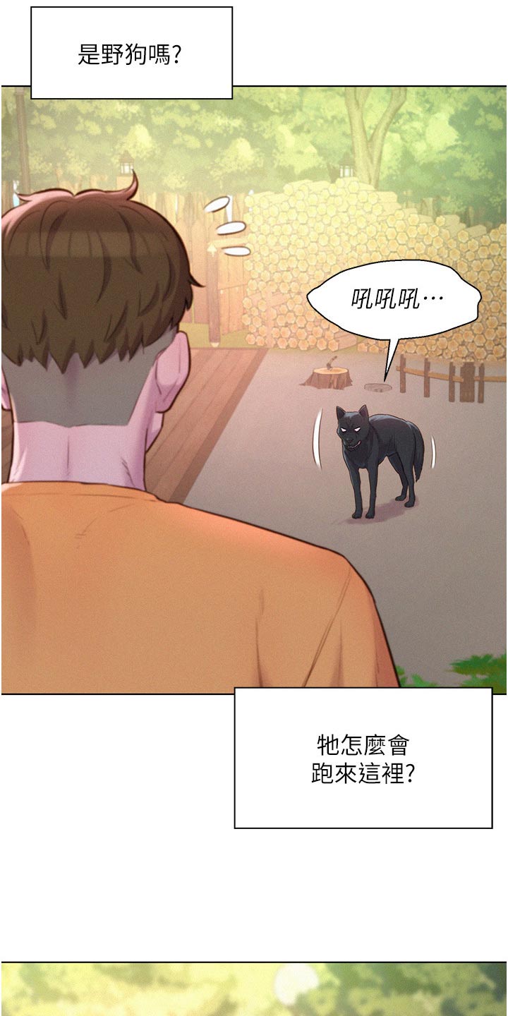 8.jpg