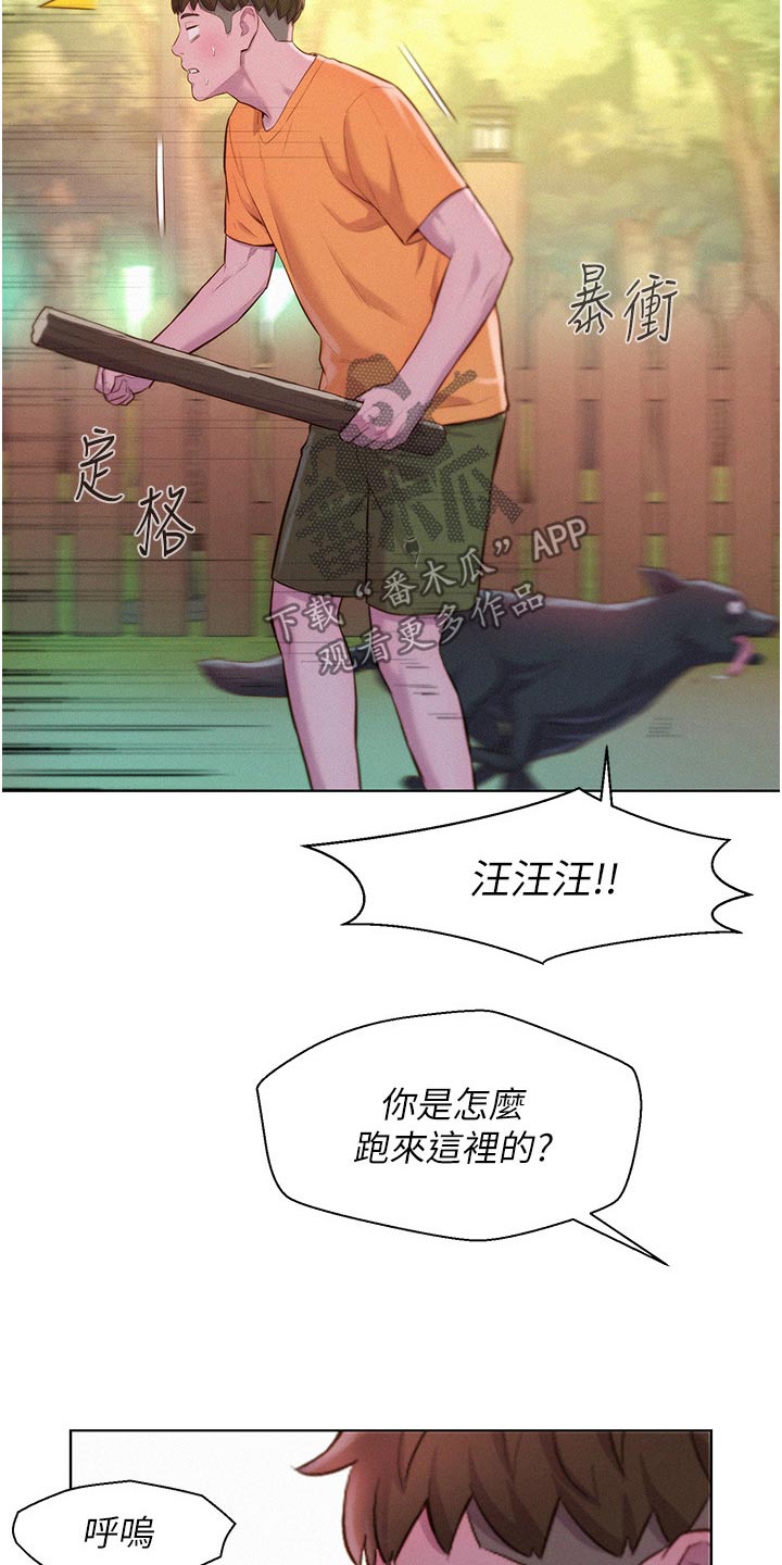 16.jpg