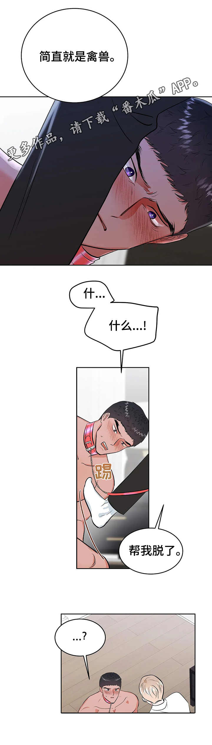 11.jpg