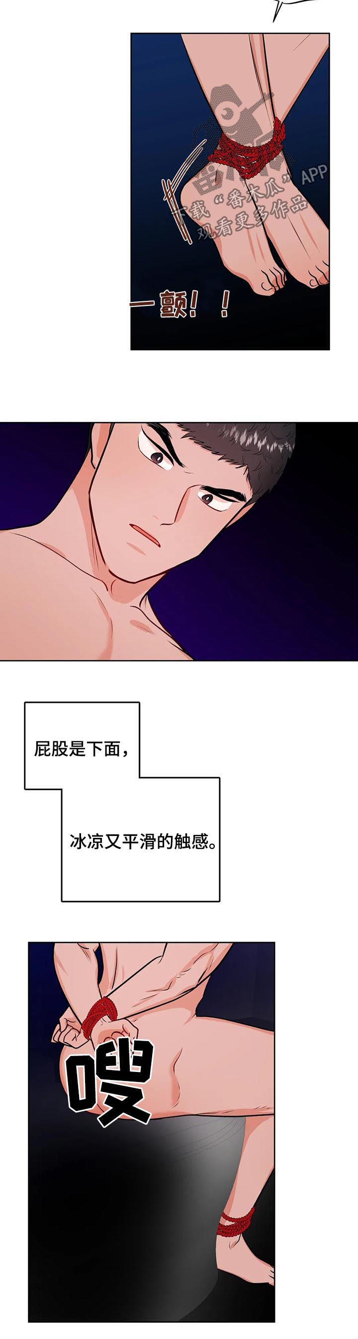 11.jpg