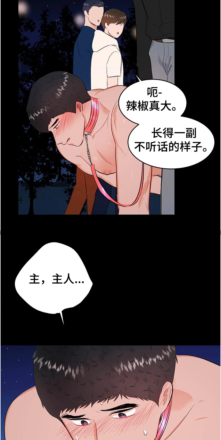 14.jpg