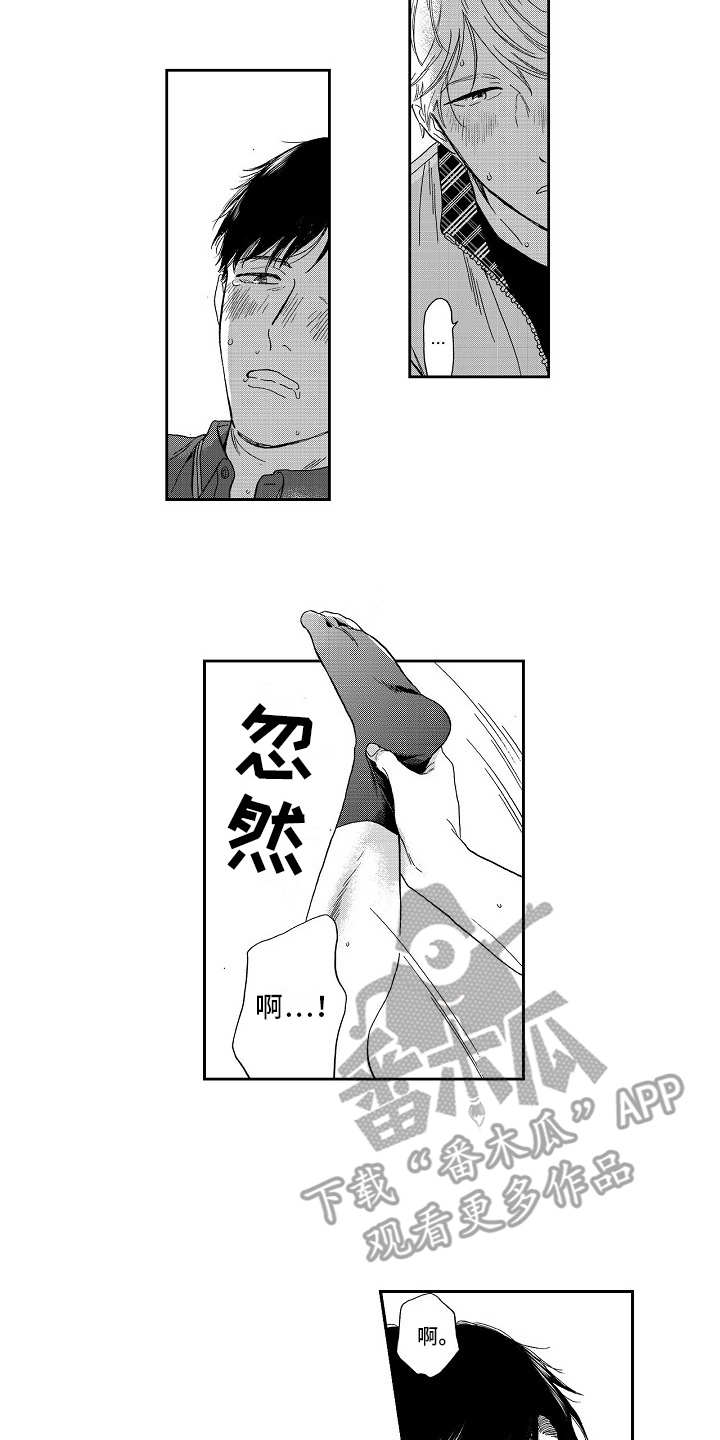 13.jpg