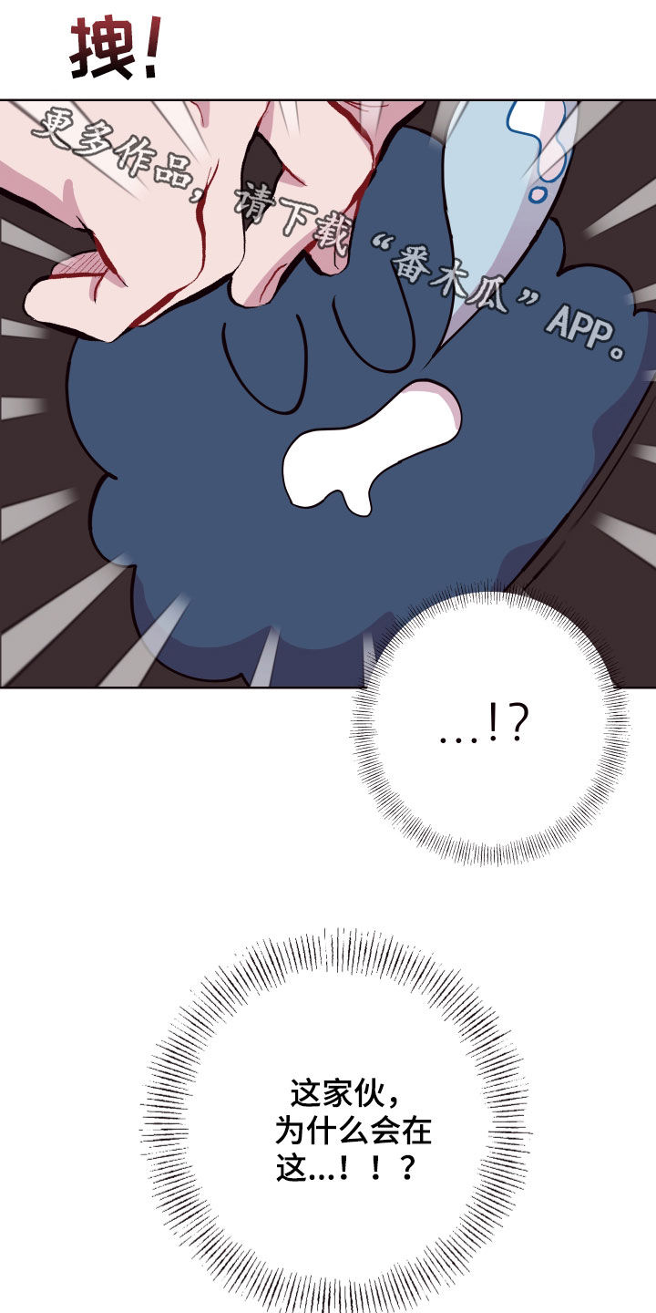 24.jpg