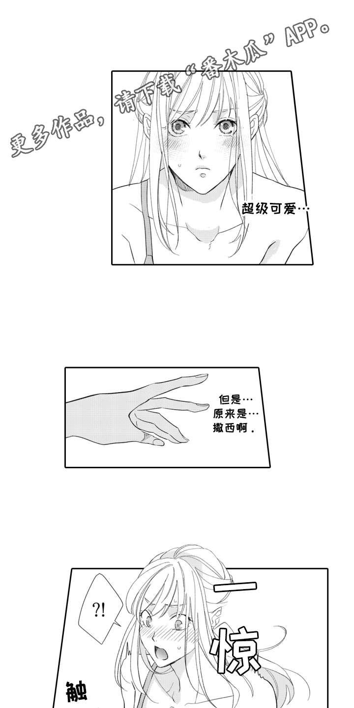 5.jpg