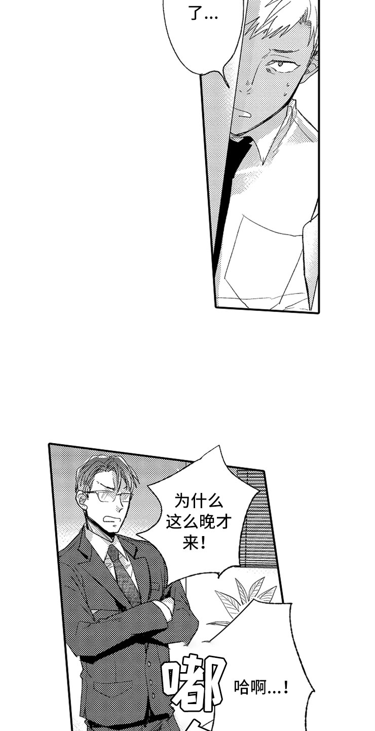 6.jpg