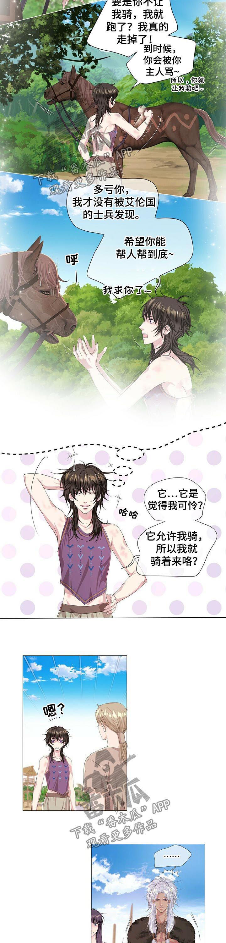 2.jpg