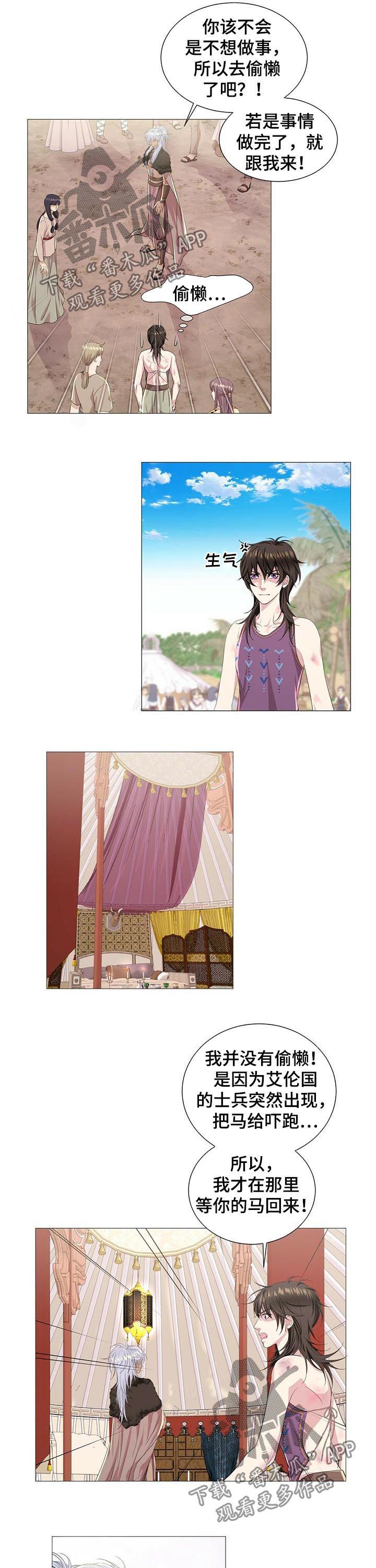 6.jpg