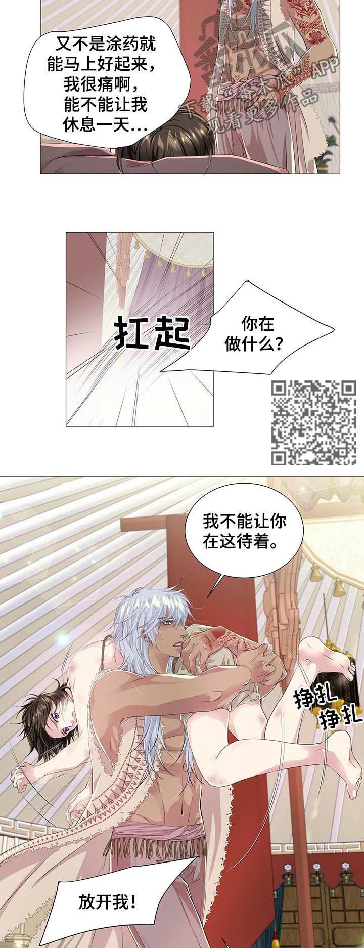 5.jpg
