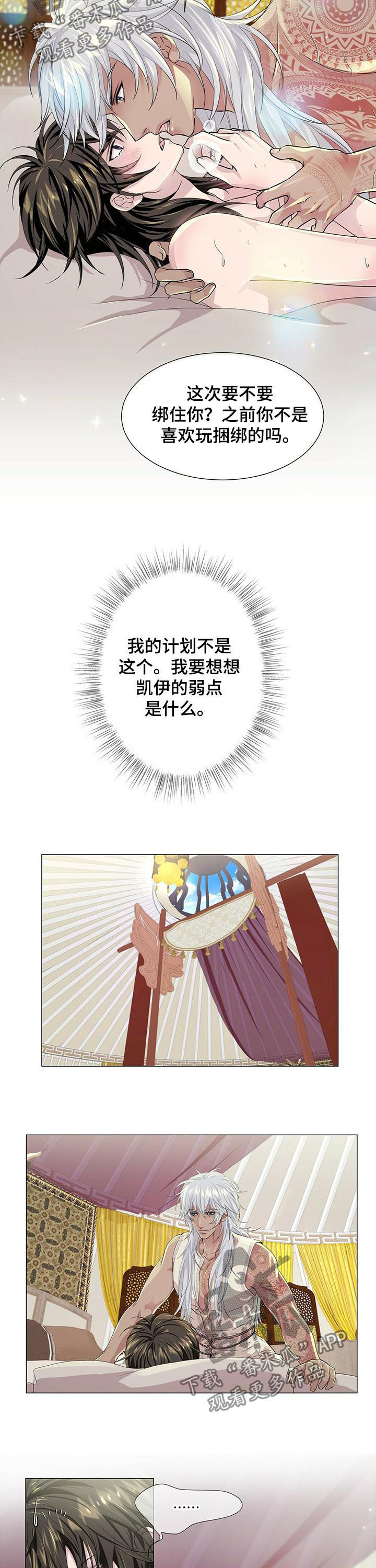 5.jpg