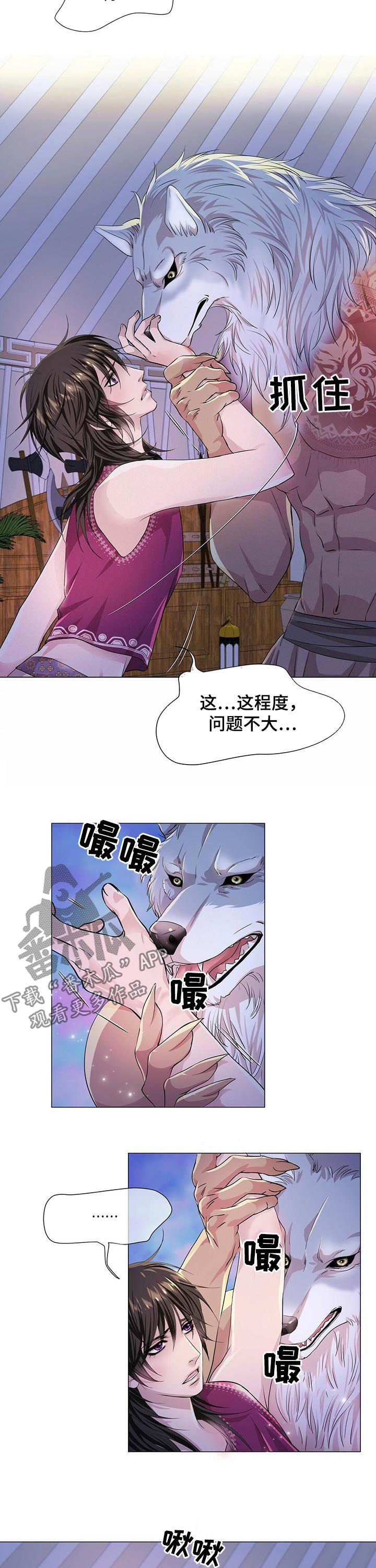 9.jpg