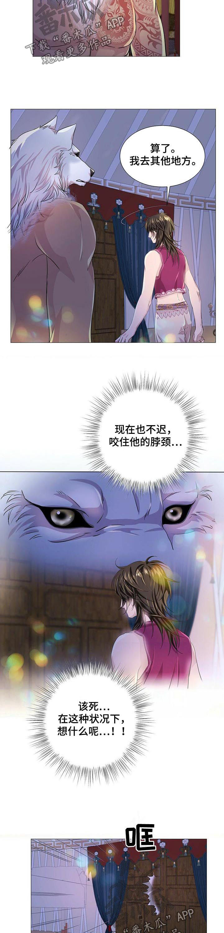 5.jpg