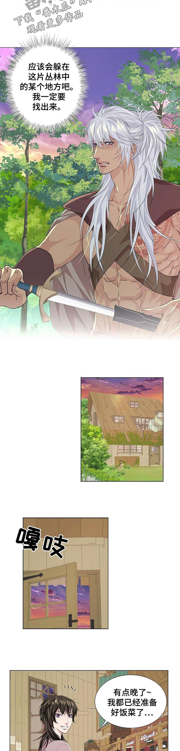 8.jpg