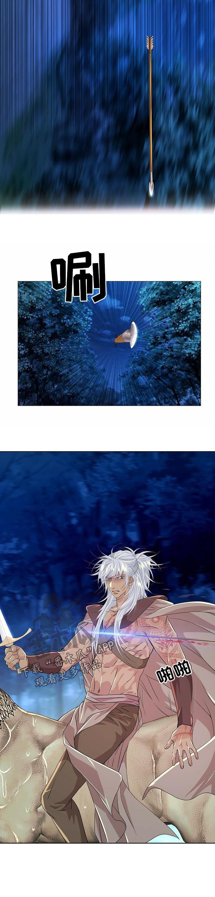 9.jpg