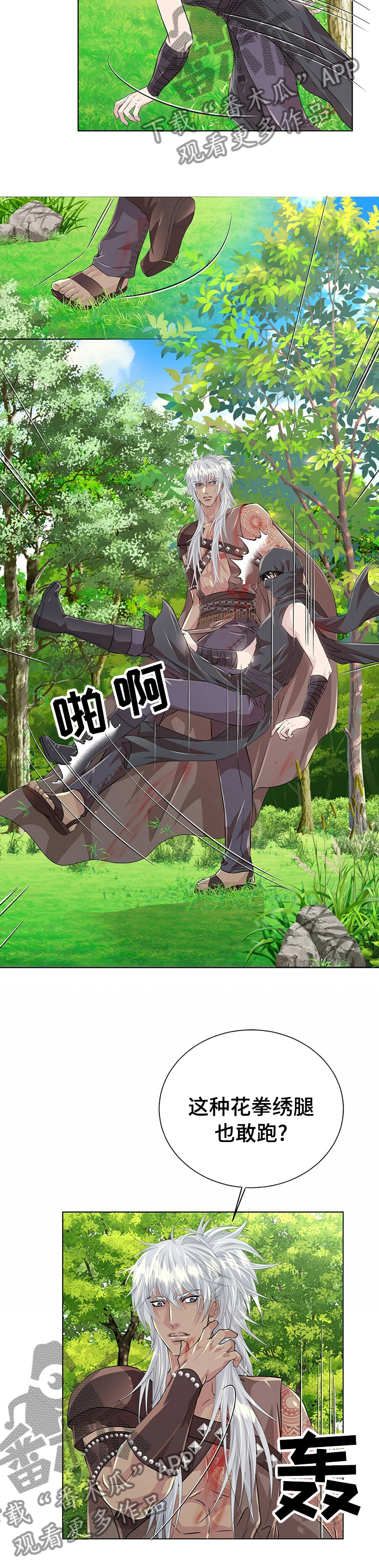 5.jpg