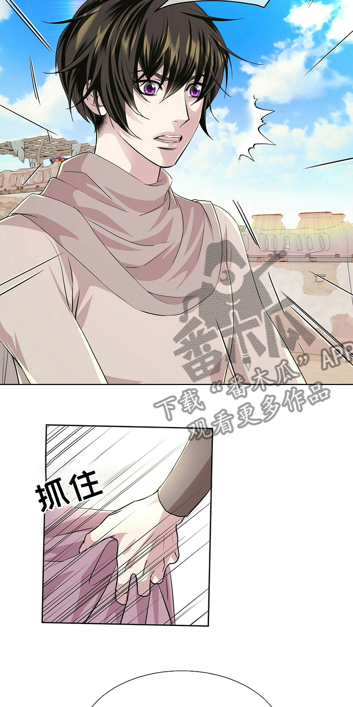 15.jpg