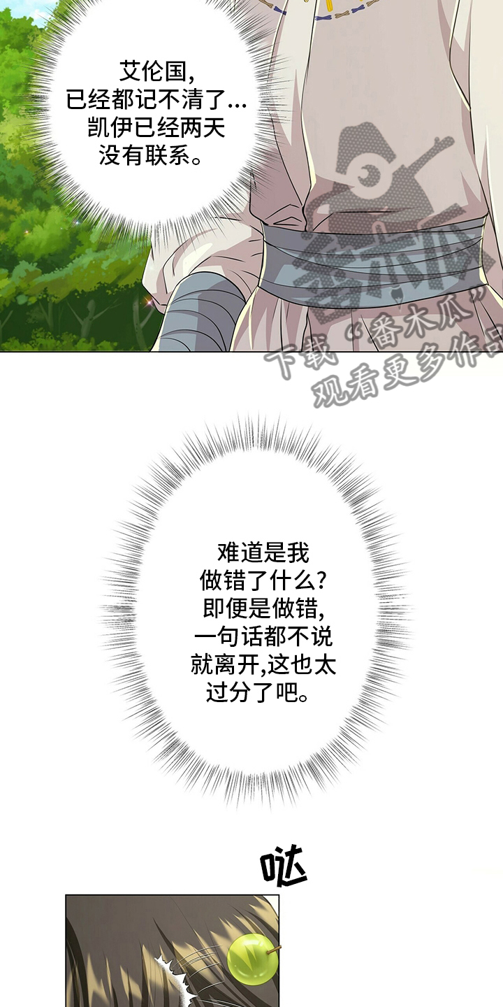 21.jpg