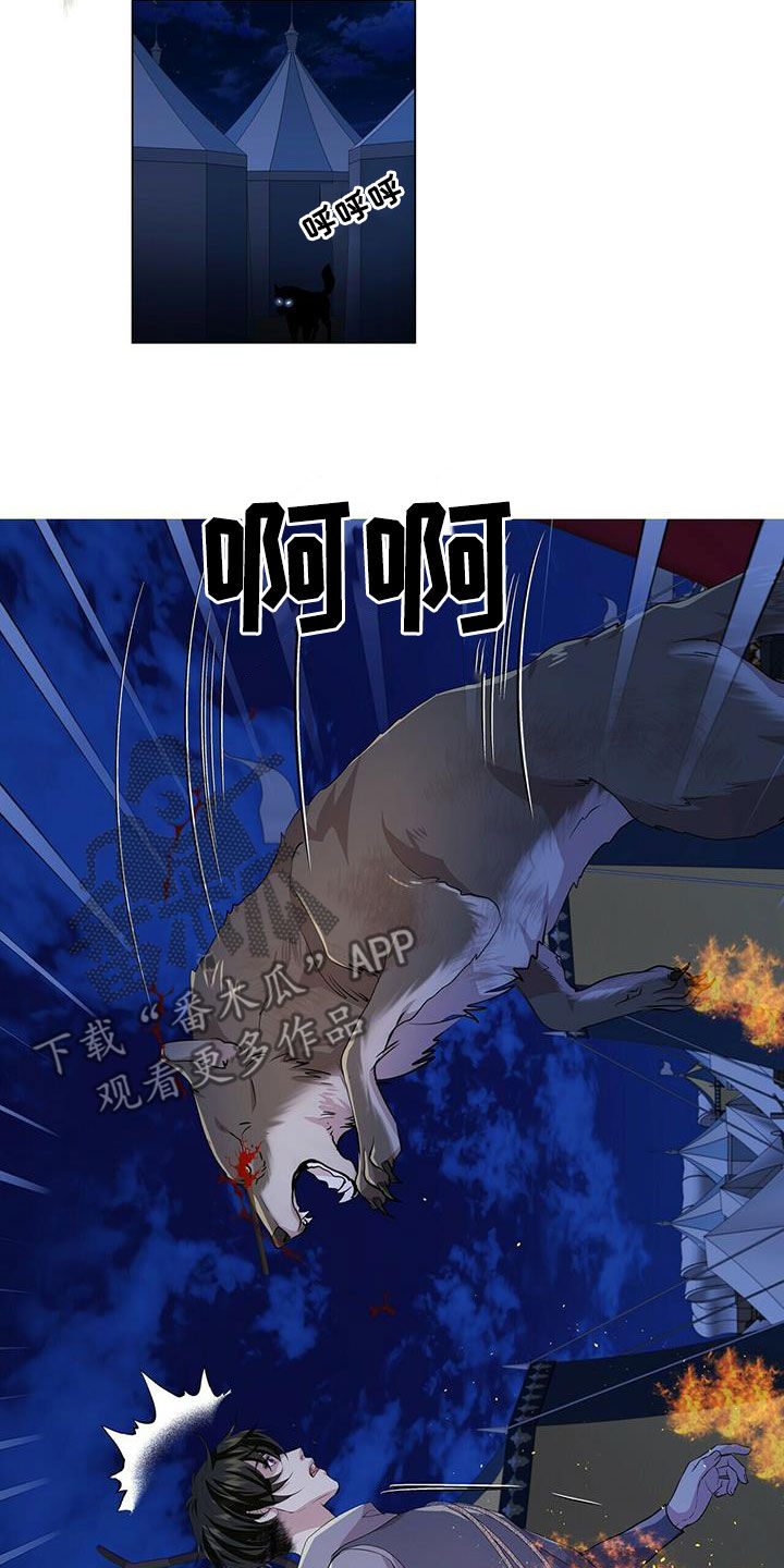 14.jpg