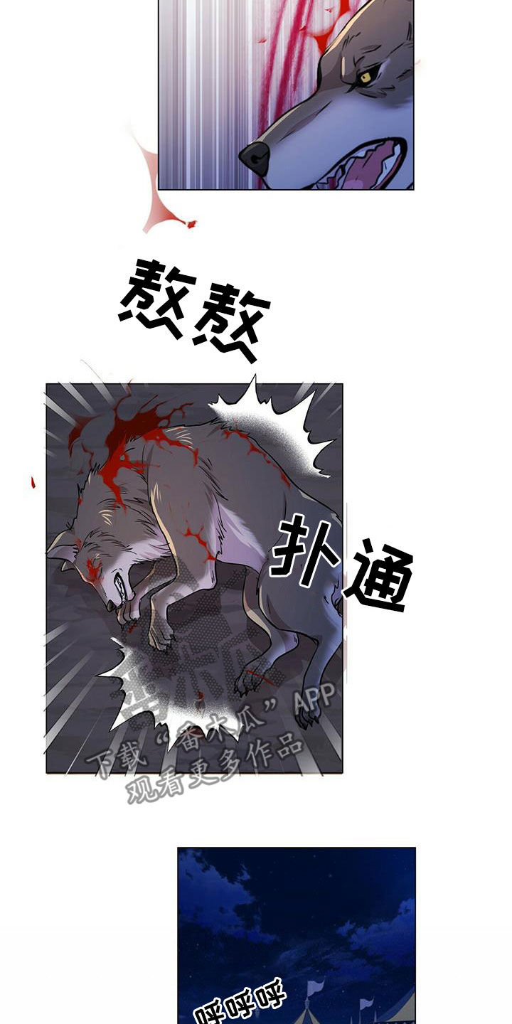 8.jpg