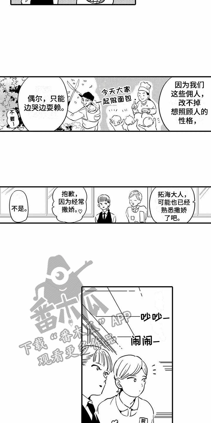 11.jpg