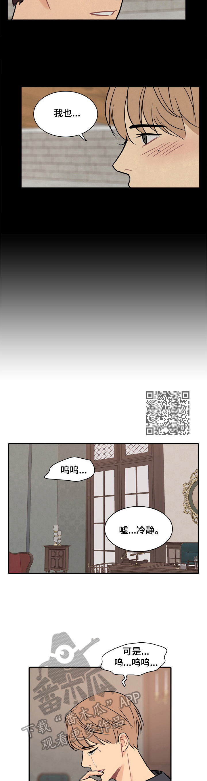 5.jpg