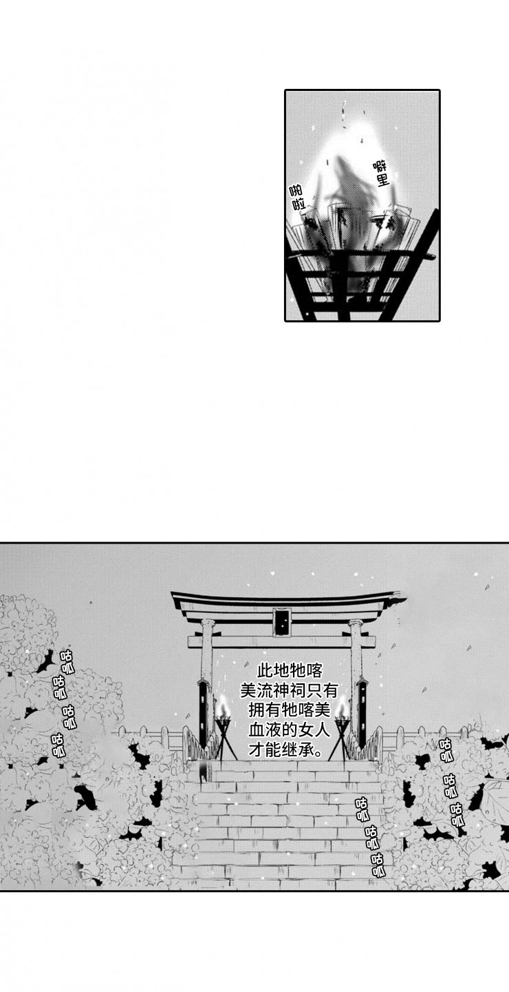 1.jpg