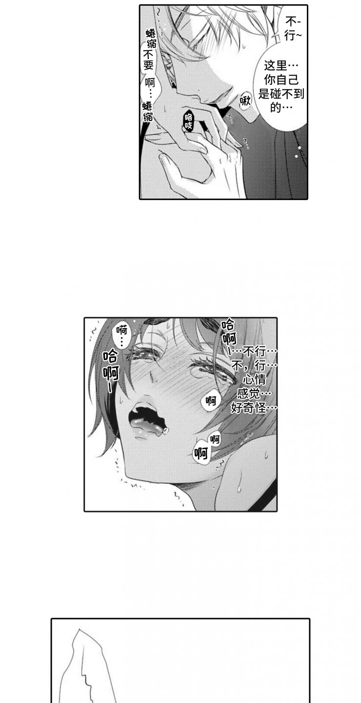 13.jpg