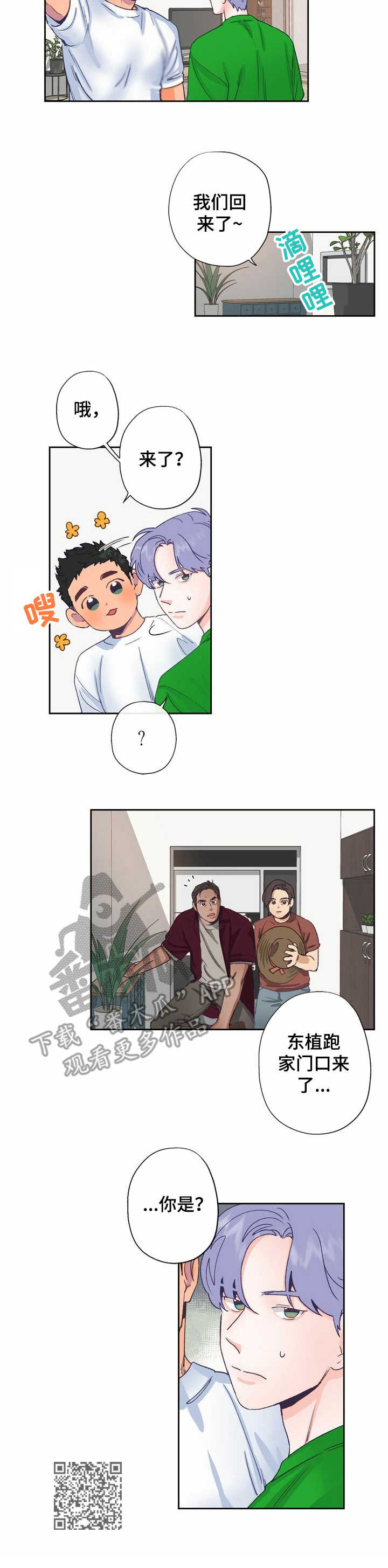 11.jpg