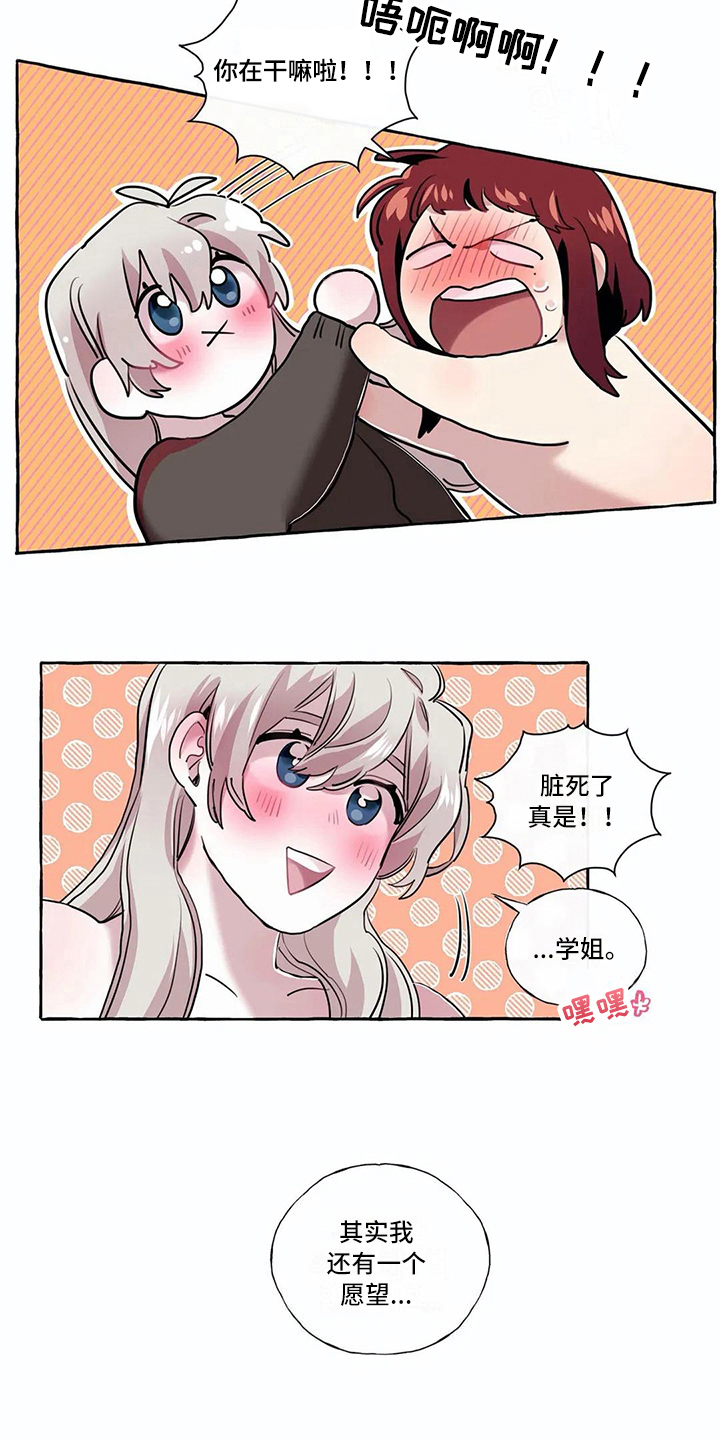 12.jpg