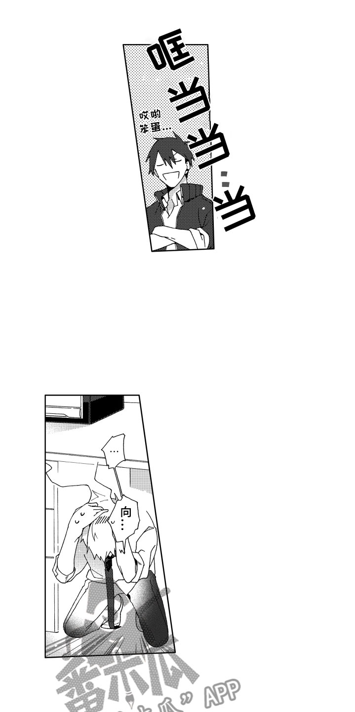 17.jpg