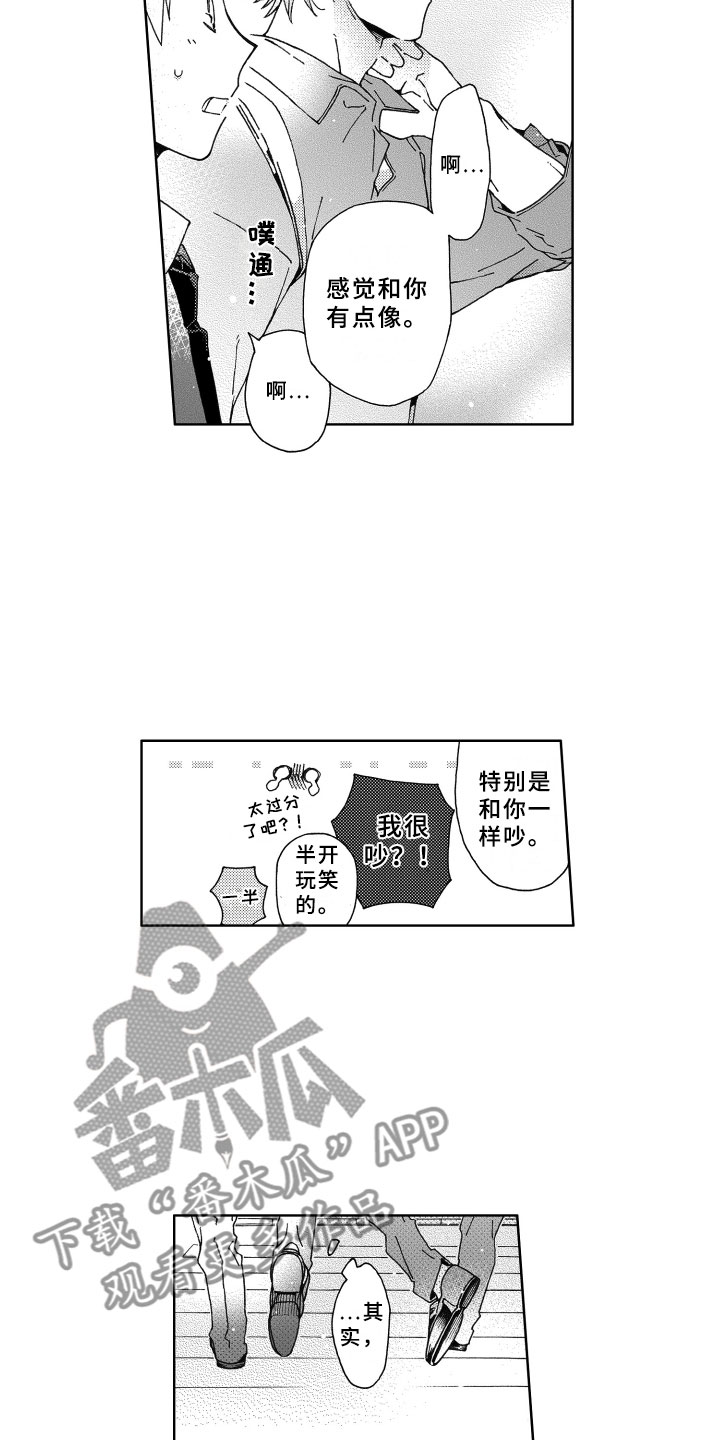 13.jpg