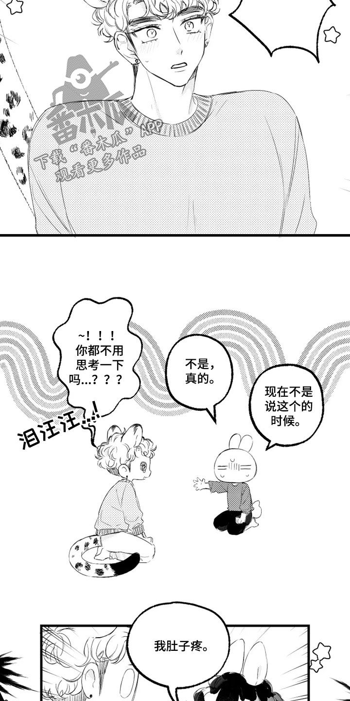 18.jpg