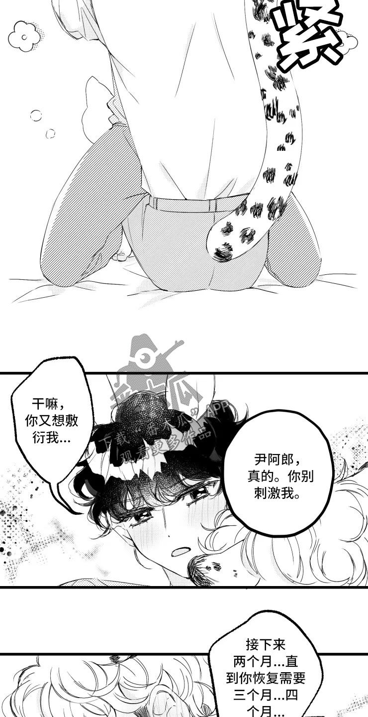 11.jpg